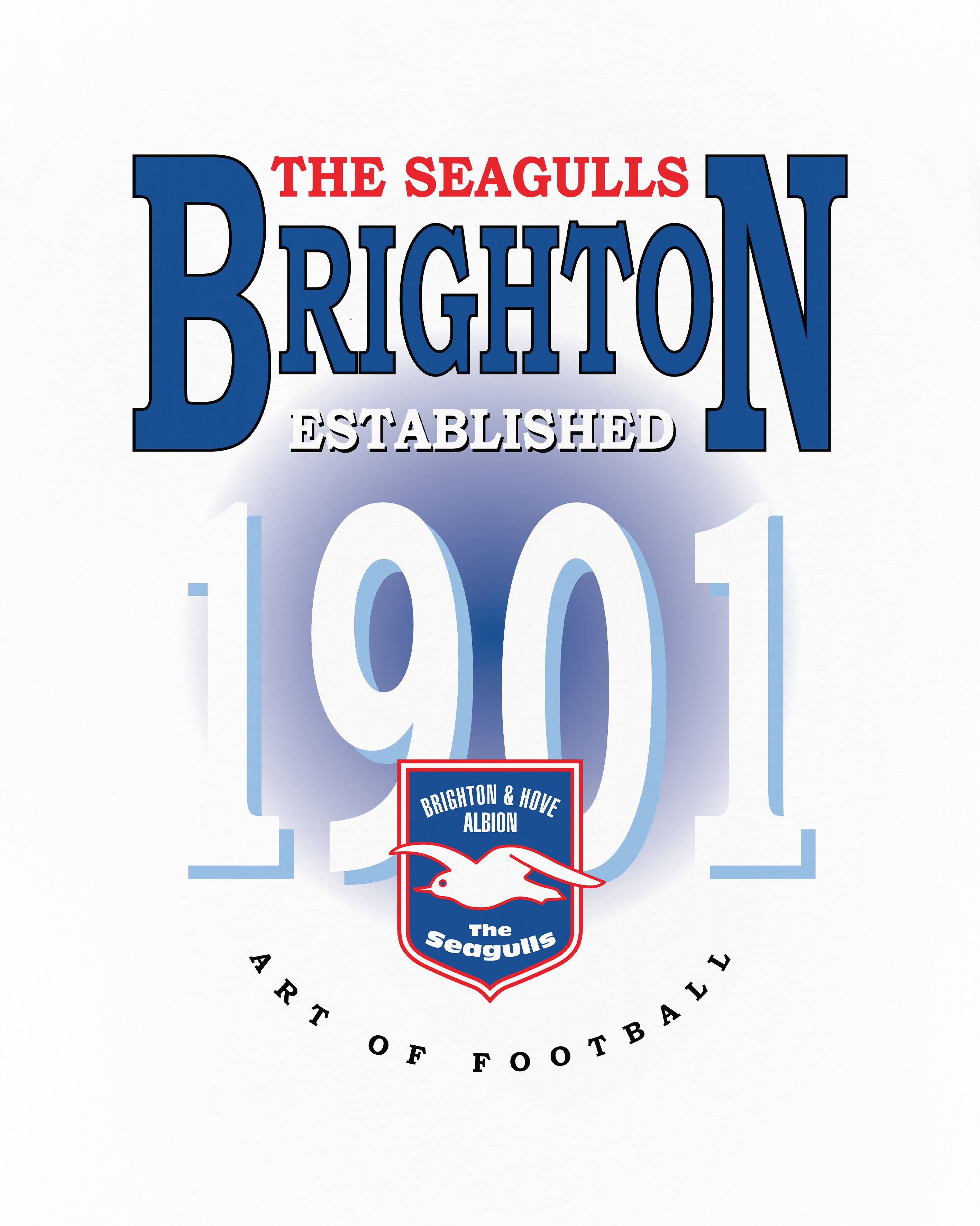 ART OF Football x Brighton Retro Graphic Tee | AOF x BHAFC T-shirt